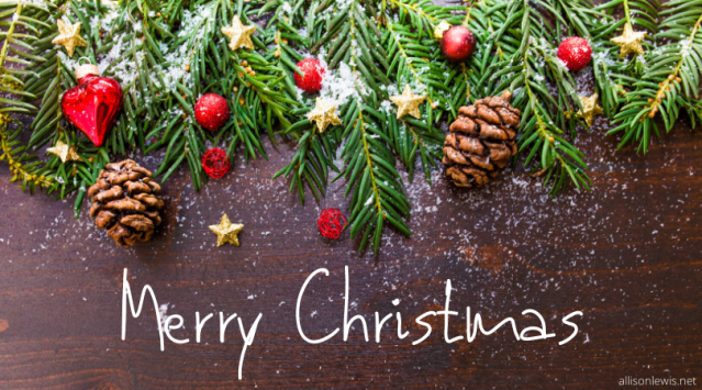 Merry Christmas - pic for blog